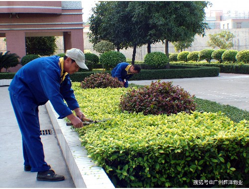 boyu博鱼中国官方网站：园林绿化工程的建筑成本