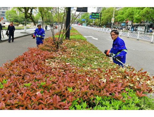 博鱼boyu官方网站：烟台景观园林绿化工程